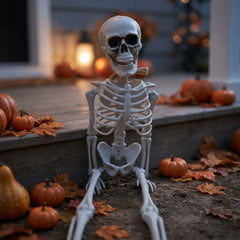 Realistic Halloween Skeleton