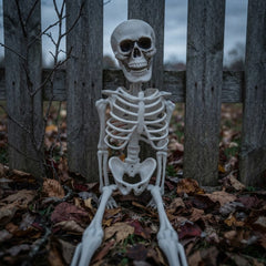 Realistic Halloween Skeleton